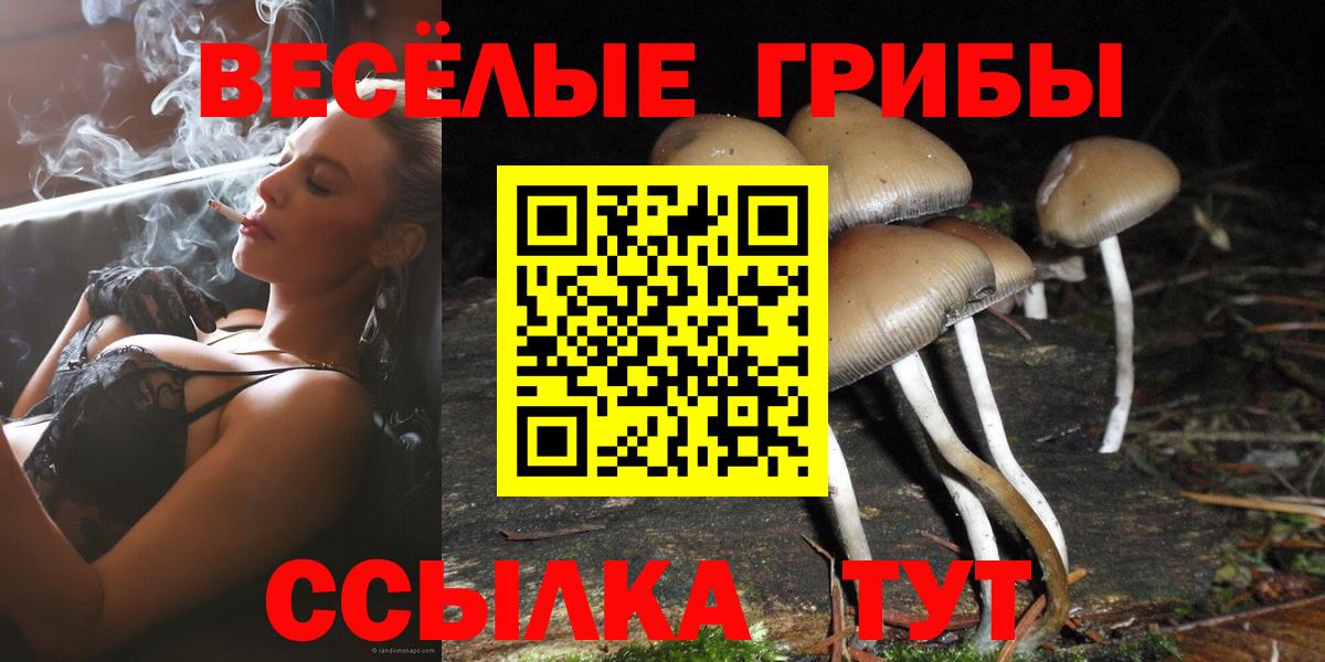 Галлюциногенные грибы мухоморы Карабулак